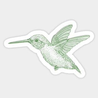 Hummingbird 6 Sticker